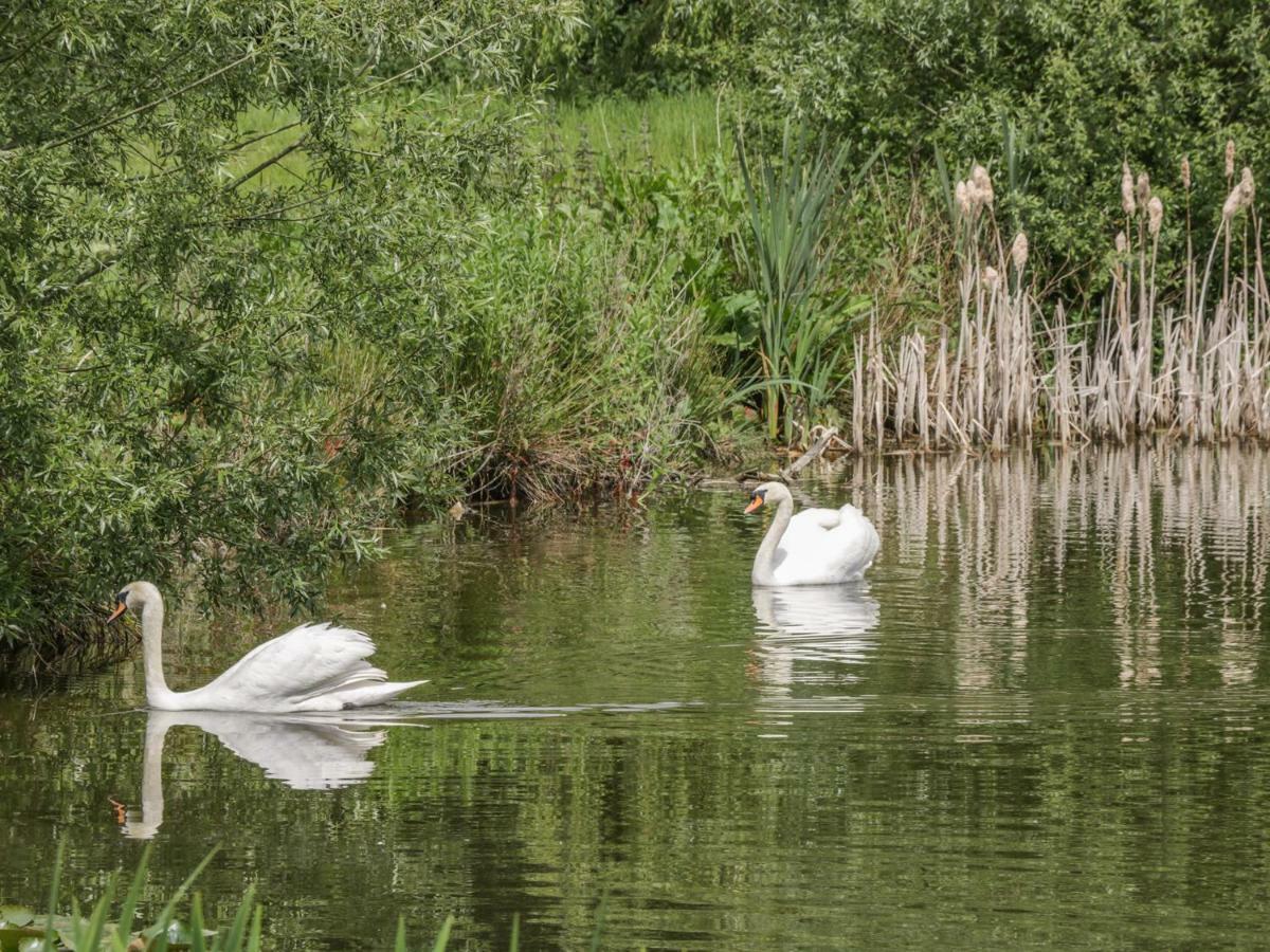 Willow Lodge Brough  Dış mekan fotoğraf